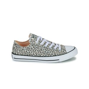 Converse CTAS Ox Zapatilla Mujer